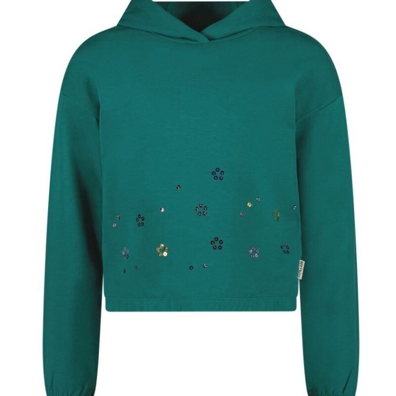 B.Nosy Meisjes sweater - Stella - Storm groen B.Nosy Meisjes sweater - Stella - Storm groenMateriaal 95% GOTS