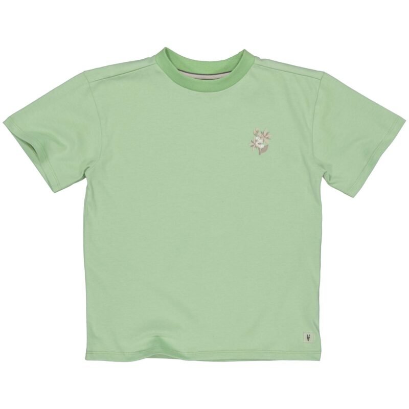 LEVV Jongens t-shirt - Kami - Zacht groen LEVV Jongens t-shirt - Kami - Zacht groenMateriaal 100% Cotton