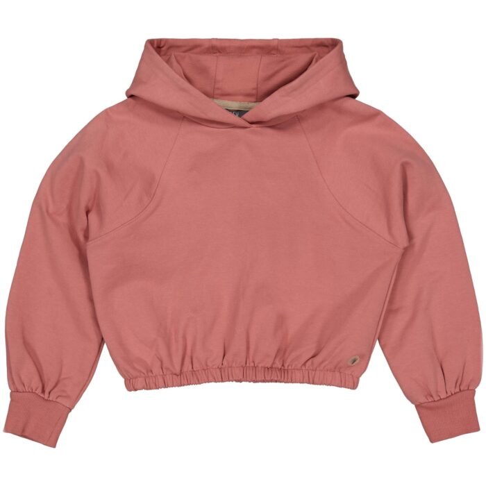 LEVV Meisjes sweater - Fanna - Mahogany roze LEVV Meisjes sweater - Fanna - Mahogany rozeMateriaal - 95% Cotton / 5% Elasthan