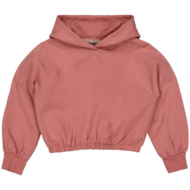 LEVV Meisjes sweater - Fanna - Mahogany roze LEVV Meisjes sweater - Fanna - Mahogany rozeMateriaal - 95% Cotton / 5% Elasthan