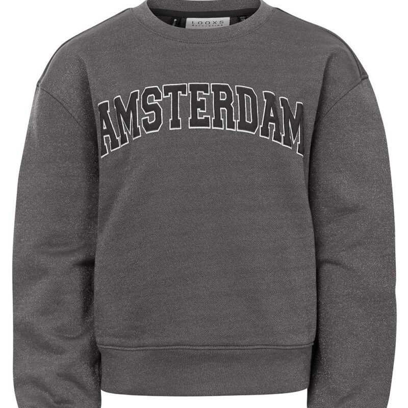 LOOXS 10sixteen Meisjes sweater - Zilver LOOXS 10sixteen Meisjes sweater - ZilverMateriaal 100% cotton