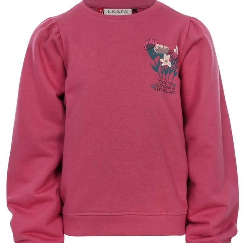 LOOXS Little Meisjes sweater - Mauve LOOXS Little Meisjes sweater - MauveMateriaal 87% Cotton 13% Polyester