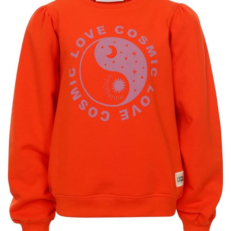 LOOXS Little Meisjes sweater fluo - Fluo oranje LOOXS Little Meisjes sweater fluo - Fluo oranjeMateriaal 95% Cotton 5% Lycra