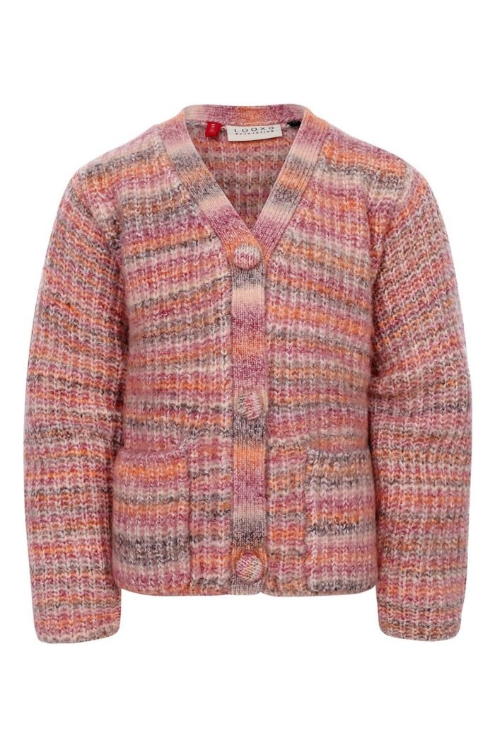 LOOXS Little Meisjes vest gebreid - Multi streep LOOXS Little Meisjes vest gebreid - Multi streepMateriaal 60% ACRYLIC 37% RE-POLYESTER 3% SPANDEX