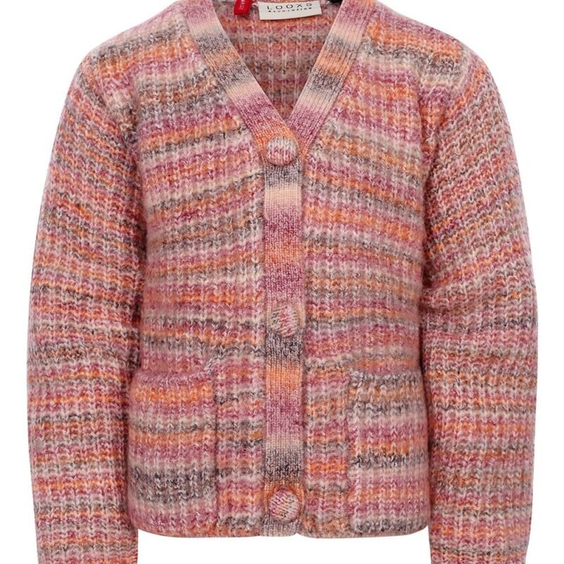 LOOXS Little Meisjes vest gebreid - Multi streep LOOXS Little Meisjes vest gebreid - Multi streepMateriaal 60% ACRYLIC 37% RE-POLYESTER 3% SPANDEX