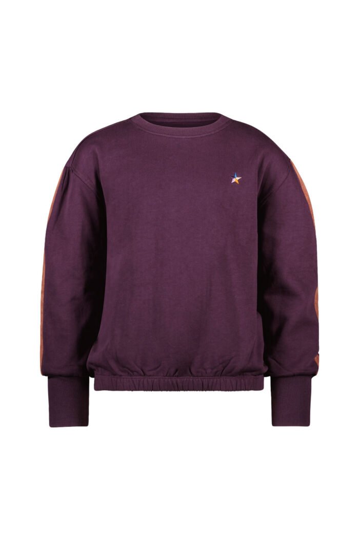 Like Flo Meisjes sweater artwork - Danee - Grape Like Flo Meisjes sweater artwork - Danee - GrapeMateriaal 100%GOTS