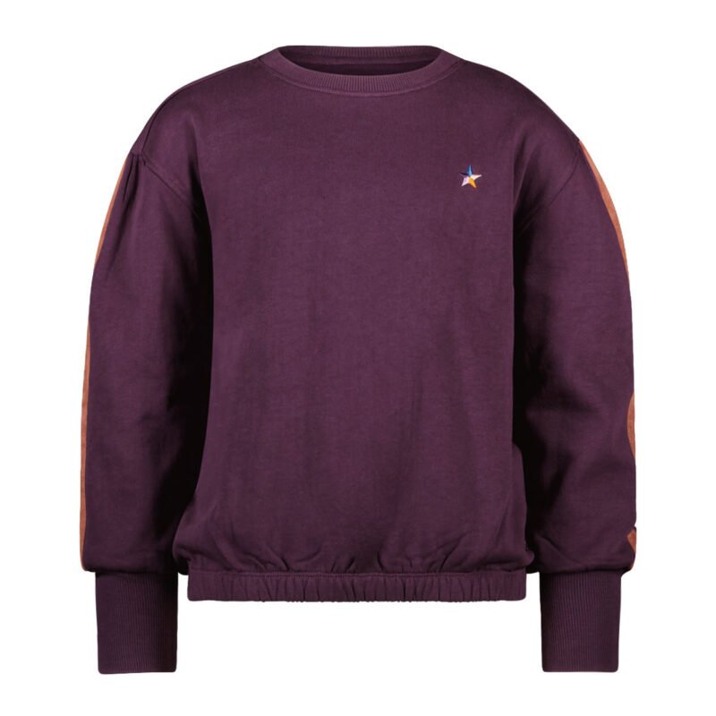 Like Flo Meisjes sweater artwork - Danee - Grape Like Flo Meisjes sweater artwork - Danee - GrapeMateriaal 100%GOTS