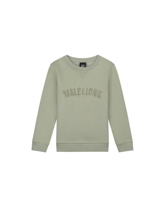 Malelions Sweater paint - Zeegras Malelions Sweater paint - ZeegrasMateriaal 70% Cotton