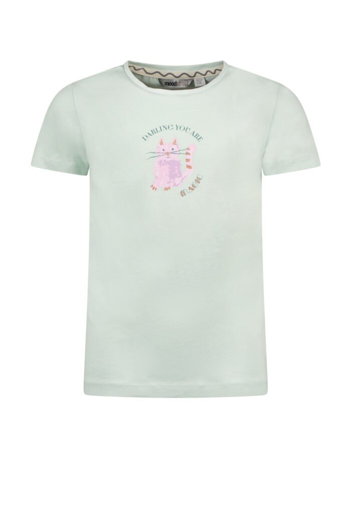 Moodstreet Meisjes t-shirt print - Minty Moodstreet Meisjes t-shirt print - Minty95% CMIA Cotton 5% Ea