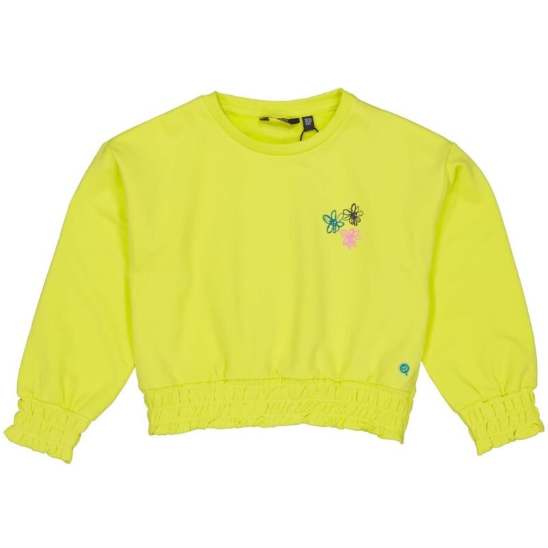 Quapi Meisjes sweater - Dewi - Geel groen Quapi Meisjes sweater - Dewi - Geel groenMateriaal 95% Cotton 5% Elastan