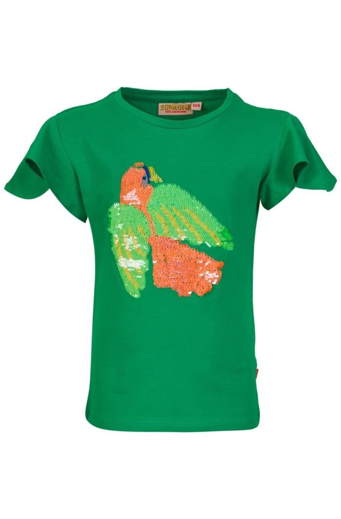 Someone Meisjes t-shirt - Shanna-SG-02-A - Groen Someone Meisjes t-shirt - Shanna-SG-02-A - GroenMateriaal 95%Com Cott