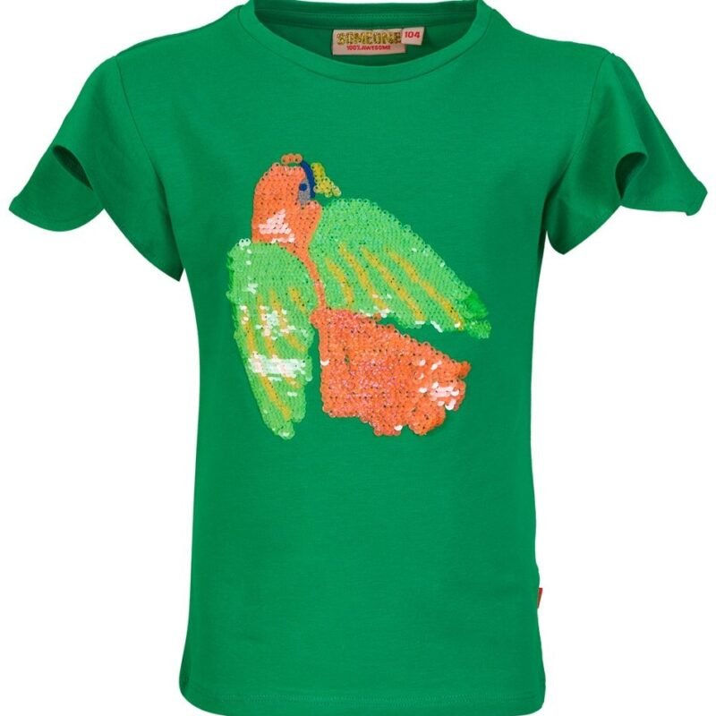Someone Meisjes t-shirt - Shanna-SG-02-A - Groen Someone Meisjes t-shirt - Shanna-SG-02-A - GroenMateriaal 95%Com Cott